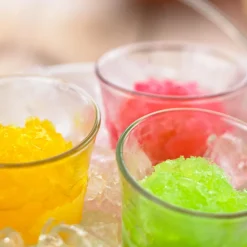 GASTROBACK Design Ice Shaver Slushy & Ice Cream* Eismaschine & Ice Shaver