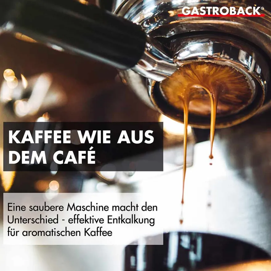 GASTROBACK Premium Entkalker 500 ml* Zubehör